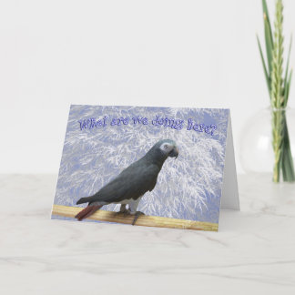 飛んでいる南 シーズンカード