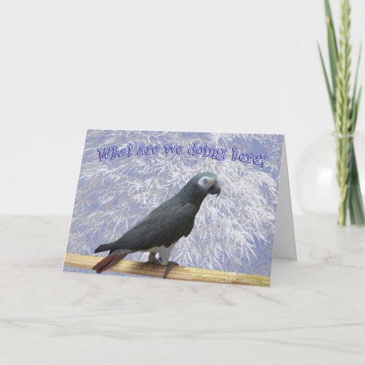 飛んでいる南 シーズンカード (正面)