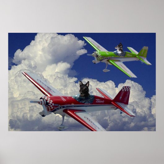 飛んでいる犬4 ポスター (正面)