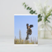 飛んでいる犬！ ポストカード (スタンド正面)