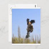 飛んでいる犬！ ポストカード (正面/裏面)