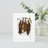 飛んでいる狐 ポストカード (スタンド正面)