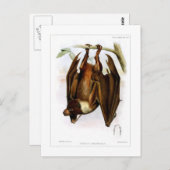 飛んでいる狐 ポストカード (正面/裏面)