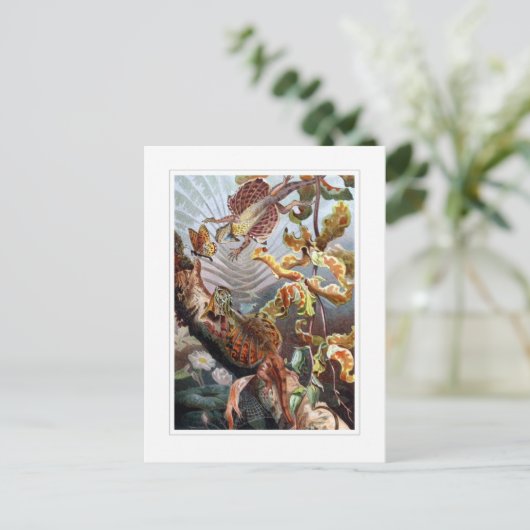 飛んでいる竜 ポストカード (スタンド正面)