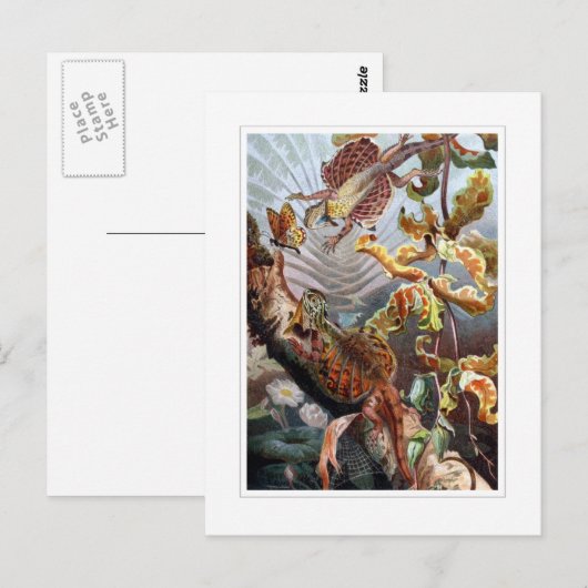 飛んでいる竜 ポストカード (正面/裏面)