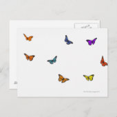 飛んでいる蝶 ポストカード (正面/裏面)