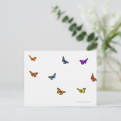 飛んでいる蝶 ポストカード (スタンド正面)