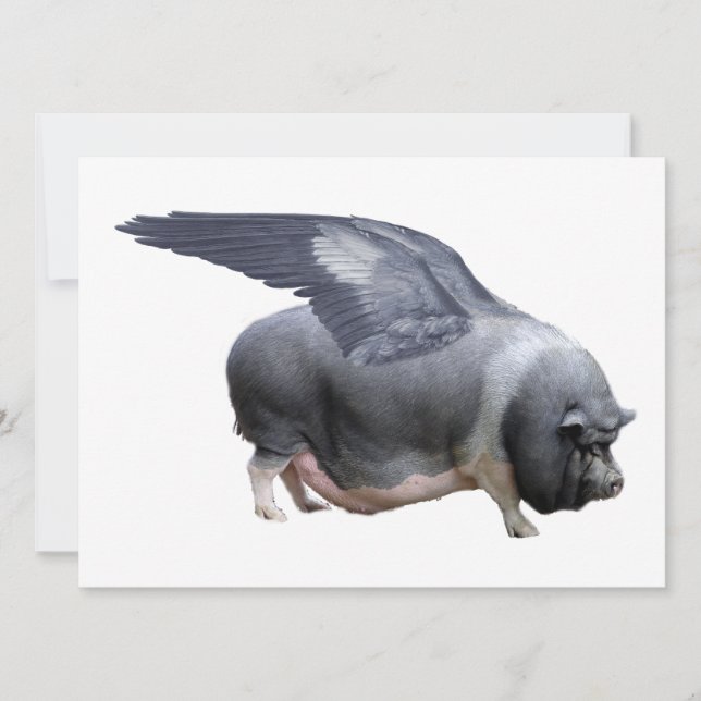 飛んでいる豚 (正面)