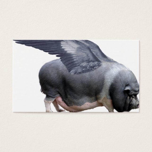 飛んでいる豚 (正面)