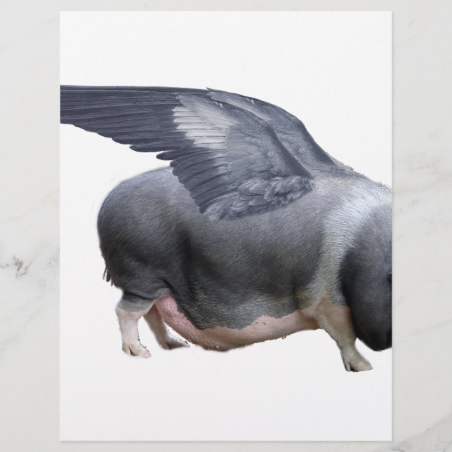 飛んでいる豚 (正面)