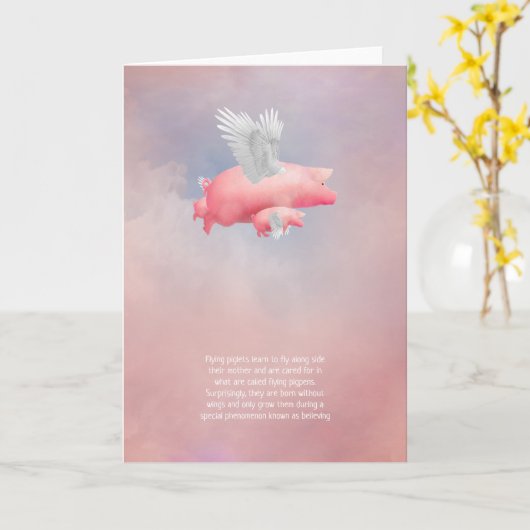 飛んでいる豚 カード (黄色い花)