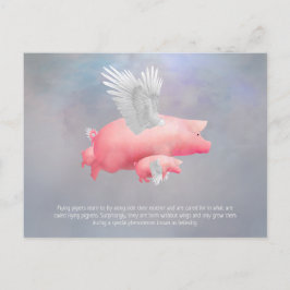 飛んでいる豚 ポストカード