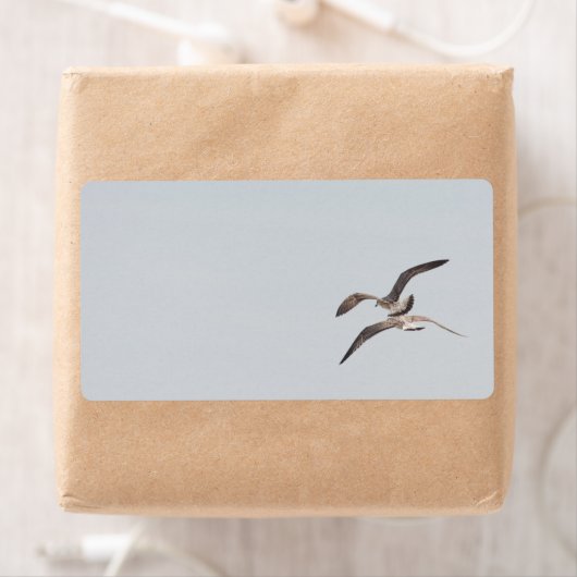 飛んでいる貝 ラベル (インサイチュ)