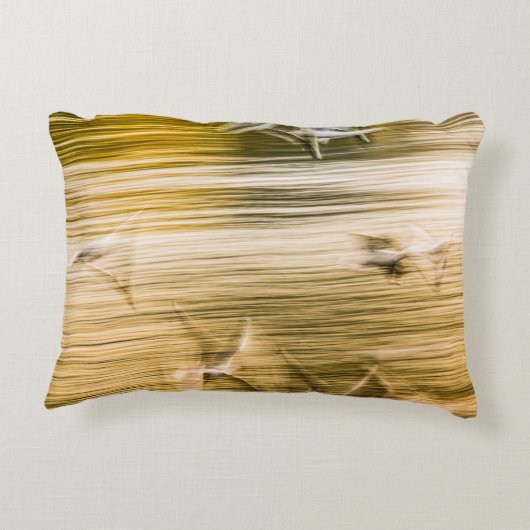 飛んでいる貝 – 抽象芸術 アクセントクッション (裏面)