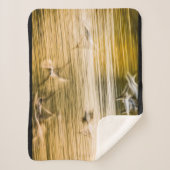 飛んでいる貝 – 抽象芸術 シェルパブランケット (正面)