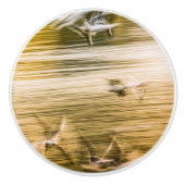 飛んでいる貝 – 抽象芸術 セラミックノブ (正面)