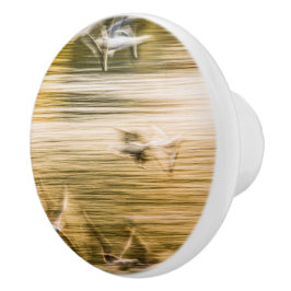 飛んでいる貝 – 抽象芸術 セラミックノブ