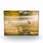 飛んでいる貝 – 抽象芸術 フォトブロック (正面)