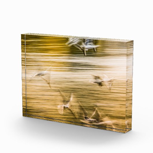 飛んでいる貝 – 抽象芸術 フォトブロック (右)