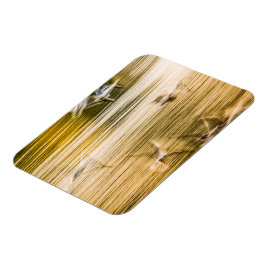 飛んでいる貝 – 抽象芸術 マグネット