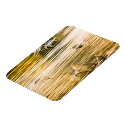 飛んでいる貝 – 抽象芸術 マグネット (左側)