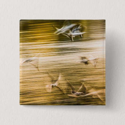 飛んでいる貝 – 抽象芸術 缶バッジ (正面)