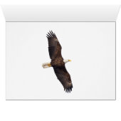 飛んでいる過去ザムーン (内部横(下))