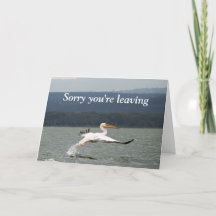 飛んでいる離れカード