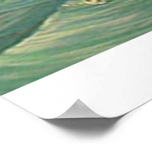 「飛んでいる高」 ポスター (角)