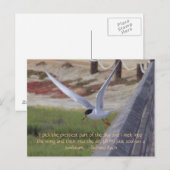 飛んでいる鳥 ポストカード (正面/裏面)