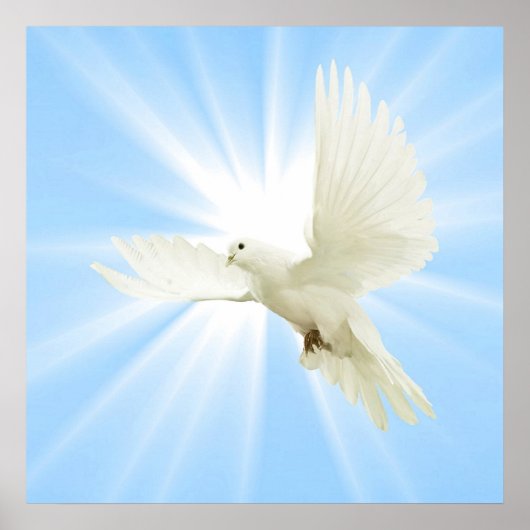 飛んでいる鳩 ポスター (正面)