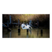 飛んでいる ポスター (正面)