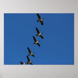 飛んでいる ポスター