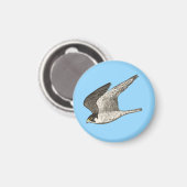 飛んでいる《鳥》ハヤブサオンブルー マグネット (正面/裏面)