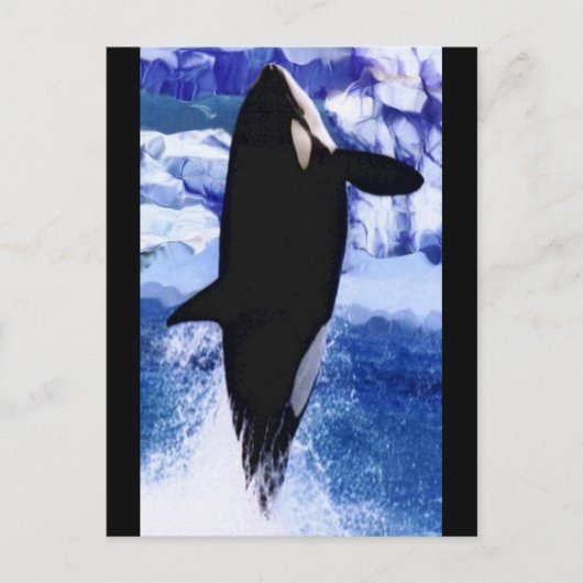 飛信じぶことができる ポストカード (正面)