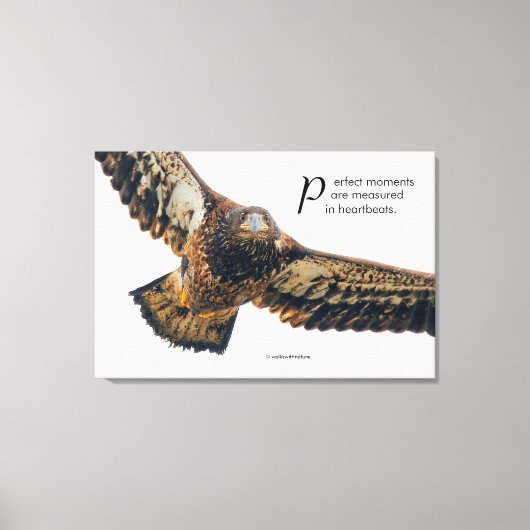 飛感動的行中の引用文ハゲ鷲 キャンバスプリント (正面)