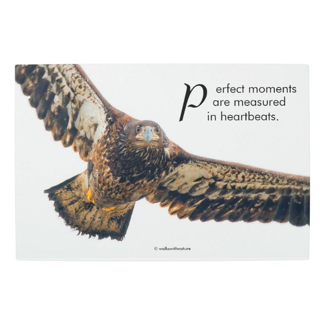 飛感動的行中の引用文ハゲ鷲 メタルプリント (正面)