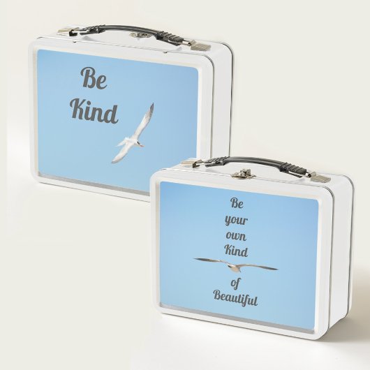 飛王室の行中 メタルランチボックス