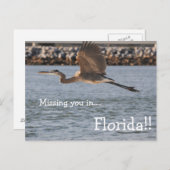 飛素晴らし行中のアオサギ ポストカード (正面/裏面)