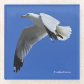 飛素晴らし行中のリングや輪でハナメの海鳥 ガラスコースター (正面)