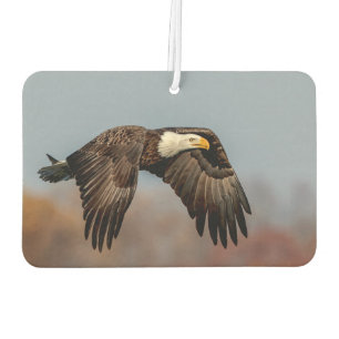 飛翔しているハゲのワシ カーエアーフレッシュナー