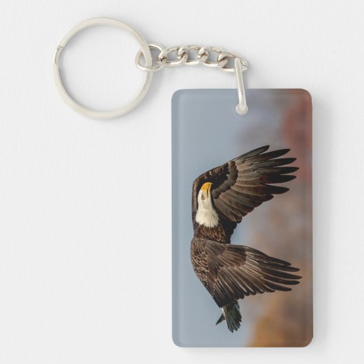 飛翔しているハゲのワシ キーホルダー (正面)