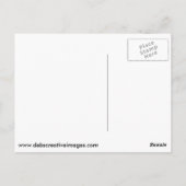 飛翔しているハゲのワシ ポストカード (裏面)