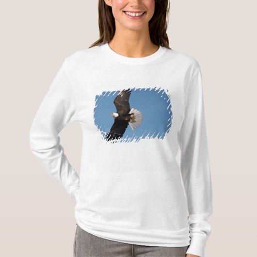 飛翔するハクトウワシ Tシャツ (正面)