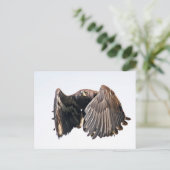 飛翔する若いハクトウワシ ポストカード (スタンド正面)