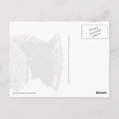 飛翔する若いハクトウワシ ポストカード (裏面)