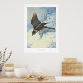 飛翔する雀の鷹 ポスター (キッチン)
