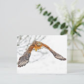 飛翔する鷹 ポストカード (スタンド正面)