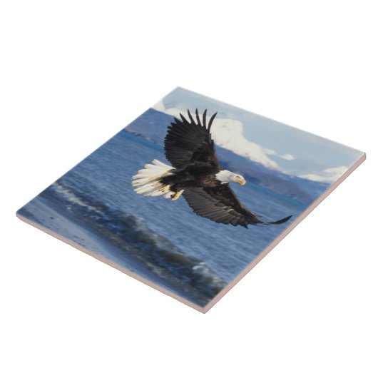 飛翔中のハゲワシ タイル (側面)