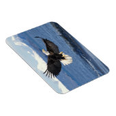 飛翔中のハゲワシ マグネット (右側)